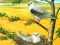 Žaidimas Birds Of Prey Puzzle internete