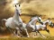 Žaidimas Running Horse Slide internete