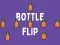 Žaidimas Bottle Flip internete