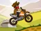 Žaidimas Hill Climb Moto internete