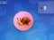 Žaidimas Snail Clicker internete
