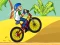 Žaidimas BMX Boy Online internete