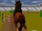 Žaidimas Jumping Horse 3d internete