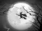 Žaidimas The Night Of the Witches Jigsaw internete