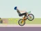 Žaidimas Wheelie Biker internete