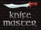 Žaidimas Knife Master internete