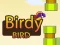 Žaidimas Birdy Bird internete