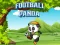 Žaidimas Football Panda internete