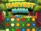 Žaidimas Harvest Mania internete