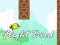Žaidimas Flight Bird internete