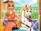 Žaidimas Princess Pet Treatment internete