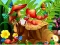 Žaidimas Hidden Objects Insects internete
