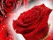 Žaidimas Red Roses internete
