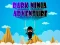 Žaidimas Dark Ninja Adventure internete