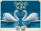 Žaidimas Swans Slide internete