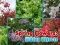 Žaidimas Spring Flowers: Hidden Objects internete