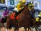 Žaidimas Horse Racing internete