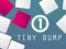 Žaidimas Tiny Bump internete
