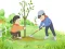 Žaidimas Arbor Day Puzzle internete