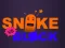 Žaidimas Snake vs Blocks internete