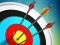 Žaidimas Master Archery Shooting internete