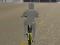 Žaidimas Bicycle Simulator internete