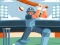 Žaidimas Pong Cricket internete