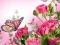 Žaidimas Butterflies Puzzle internete