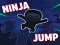 Žaidimas Ninja jump internete
