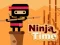 Žaidimas Ninja Time internete