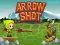 Žaidimas Arrow Shoot internete