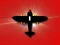 Žaidimas Airplane Fight internete