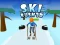 Žaidimas Ski Rush 3d internete