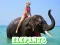 Žaidimas Elephants Puzzle internete