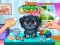 Žaidimas Funny Puppy Care internete