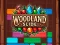 Žaidimas Woodland Slide internete