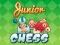 Žaidimas Junior Chess internete