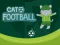 Žaidimas Cat Football internete