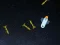 Žaidimas 5 Minutes in Space internete