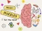 Žaidimas Brain Puzzles Quests internete