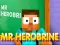 Žaidimas Mr Herobrine internete