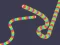 Žaidimas Slither Classic internete