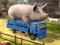 Žaidimas Driver Master Simulator internete