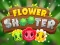 Žaidimas Flower Shooter internete