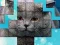 Žaidimas PicPu Cat internete
