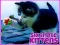 Žaidimas Six Little Kittens internete