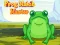 Žaidimas Frog Match Master internete