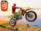 Žaidimas Bike Stunts internete