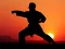 Žaidimas Karate Sunset Warriors internete
