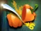 Žaidimas Veggie Slicer internete